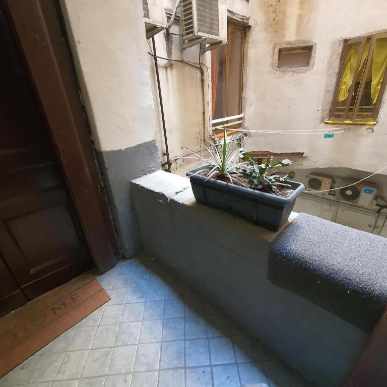 Napolix Centro, Intero Appartamentino, Casa Vacanze, Suite Tricamere Nel Cuore Di Napoli Eksteriør billede